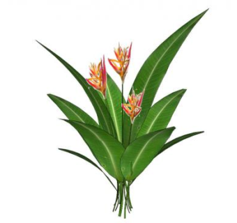 热带花卉su模型下载_sketchup草图大师SKP模型