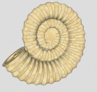 蜗牛壳su模型下载_sketchup草图大师SKP模型