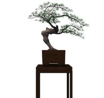 造型罗汉松盆景su模型下载_sketchup草图大师SKP模型