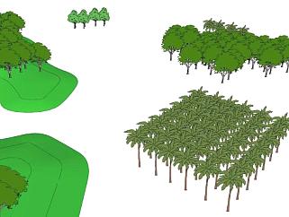 2d小乔木植物su模型下载_sketchup草图大师SKP模型
