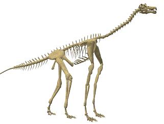 <em>恐龙</em>化石su模型下载_sketchup草图大师SKP模型