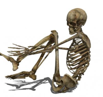 人类蹲抱骨骼su模型下载_sketchup草图大师SKP模型