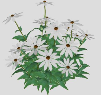 花sketchup模型下载_sketchup草图大师SKP模型