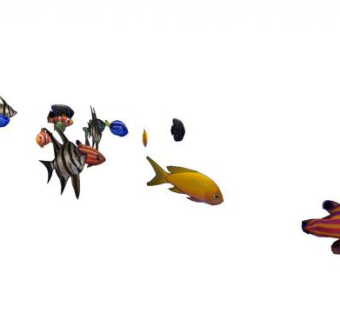 鱼sketchup模型下载_sketchup草图大师SKP模型