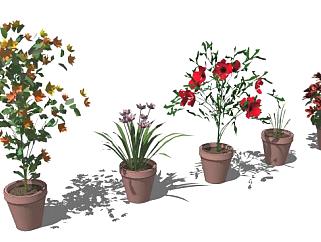 植物<em>素材sketchup</em>模型下载_<em>sketchup</em>草图大师SKP模型