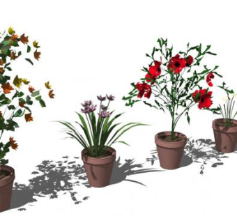 植物素材sketchup模型下载_sketchup草图大师SKP模型
