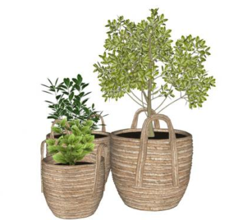 盆栽sketchup模型下载_sketchup草图大师SKP模型