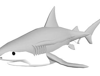 鲨鱼<em>sketchup模型下载</em>_<em>sketchup</em>草图大师SKP<em>模型</em>