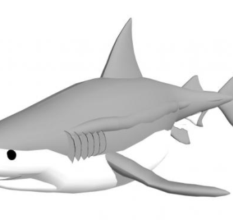 鲨鱼sketchup模型下载_sketchup草图大师SKP模型