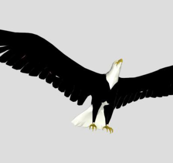 鹰sketchup模型下载_sketchup草图大师SKP模型