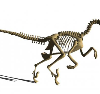 恐龙化石sketchup模型下载_sketchup草图大师SKP模型