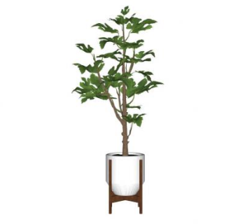 室内植物sketchup模型下载_sketchup草图大师SKP模型