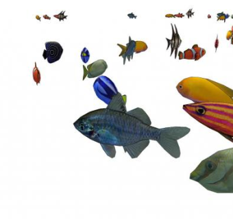 鱼的sketchup模型下载_sketchup草图大师SKP模型