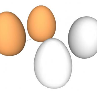 鸡蛋sketchup模型下载_sketchup草图大师SKP模型