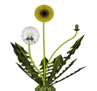 药材sketchup模型下载_sketchup草图大师SKP模型