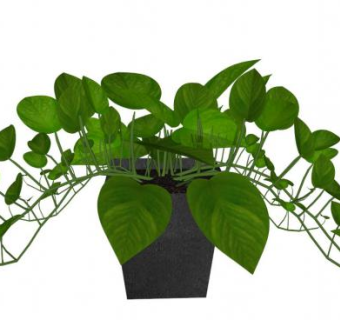 藤蔓植物sketchup模型下载_sketchup草图大师SKP模型