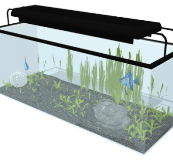 水草sketchup模型下载_sketchup草图大师SKP模型