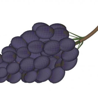 葡萄sketchup模型下载_sketchup草图大师SKP模型