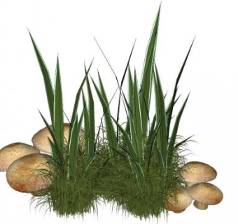 小草sketchup模型下载_sketchup草图大师SKP模型