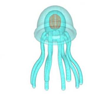 水母sketchup模型下载_sketchup草图大师SKP模型