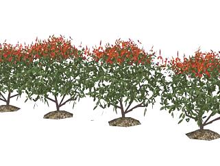 矮树灌木sketchup模型下载_sketchup草图大师SKP模型