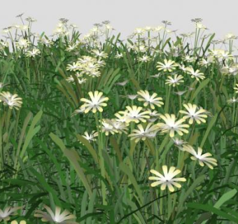 精致花草sketchup模型下载_sketchup草图大师SKP模型