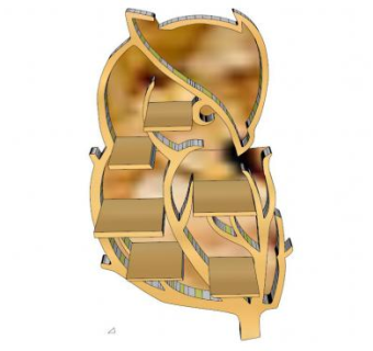 动物书架sketchup模型下载_sketchup草图大师SKP模型