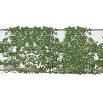 藤蔓sketchup模型下载_sketchup草图大师SKP模型