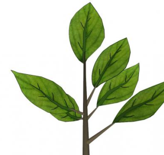 树叶sketchup模型下载_sketchup草图大师SKP模型