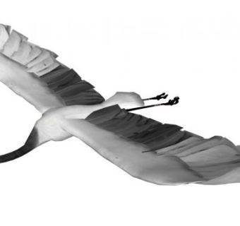 鹤sketchup模型下载_sketchup草图大师SKP模型