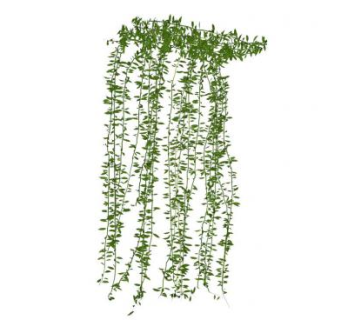 爬墙植物sketchup模型下载_sketchup草图大师SKP模型