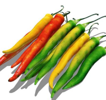 辣椒sketchup模型下载_sketchup草图大师SKP模型