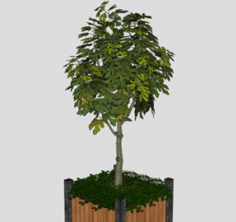 造型树sketchup模型下载_sketchup草图大师SKP模型