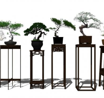 造型罗汉松盆景sketchup模型下载_sketchup草图大师SKP模型