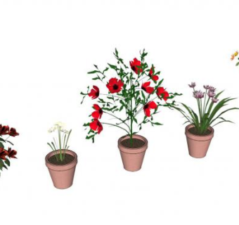 植物skp模型下载_sketchup草图大师SKP模型