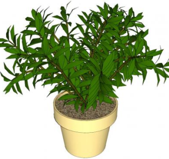 盆栽skp模型下载_sketchup草图大师SKP模型