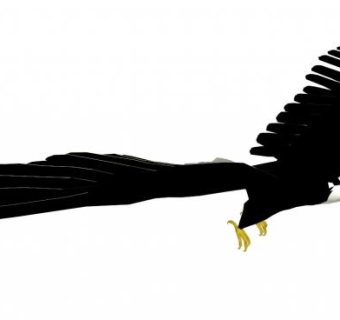 老鹰skp模型下载_sketchup草图大师SKP模型