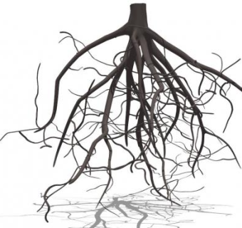 树根skp模型下载_sketchup草图大师SKP模型