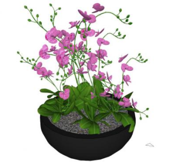 花盆skp模型下载_sketchup草图大师SKP模型
