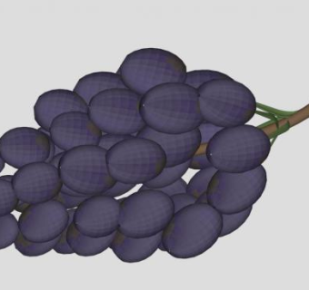 葡萄skp模型下载_sketchup草图大师SKP模型