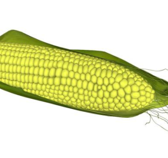 玉米skp模型下载_sketchup草图大师SKP模型