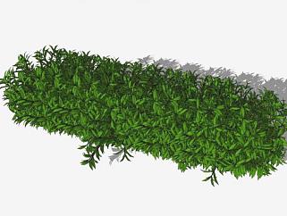 灌木草丛3d立体设计SU模型下载_sketchup草图大师SKP模型