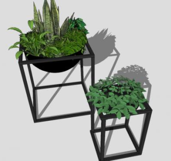 多肉植物室内盆栽摆设SU模型下载_sketchup草图大师SKP模型