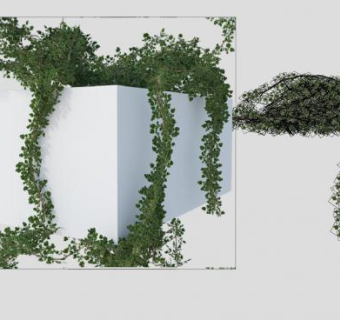 6十款藤蔓叶子爬墙植物的SU模型下载_sketchup草图大师SKP模型