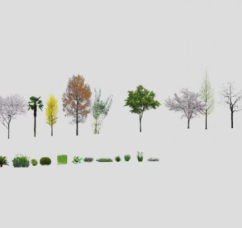 写实植物树木素材集锦SU模型下载_sketchup草图大师SKP模型