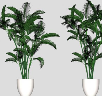 室内植物花盆景观SU模型下载_sketchup草图大师SKP模型