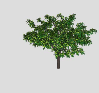 3D植物树木绿化植物SU模型下载_sketchup草图大师SKP模型