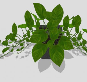 盆栽植物吊兰绿色植物模型下载_sketchup草图大师SKP模型