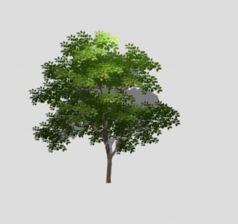 常绿树绿色植物SU模型下载_sketchup草图大师SKP模型