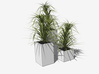 景观<em>植物</em>室内盆栽SU模型下载_sketchup草图大师SKP模型